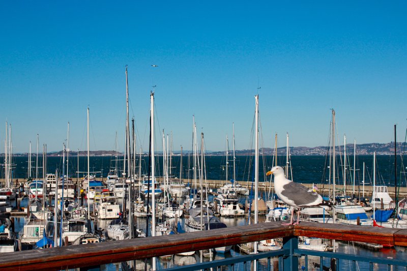 2011 San Francisco