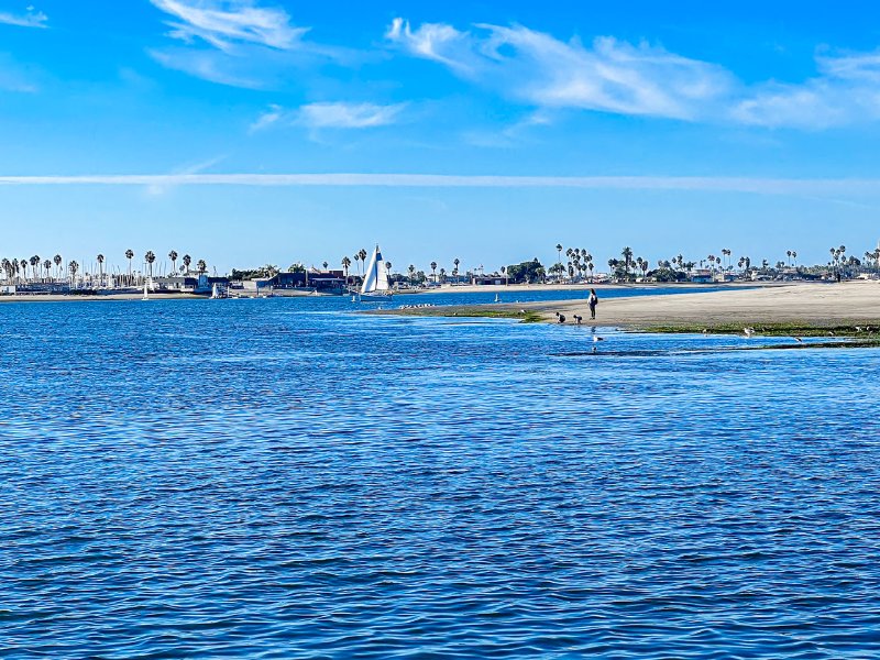 2024 San Diego