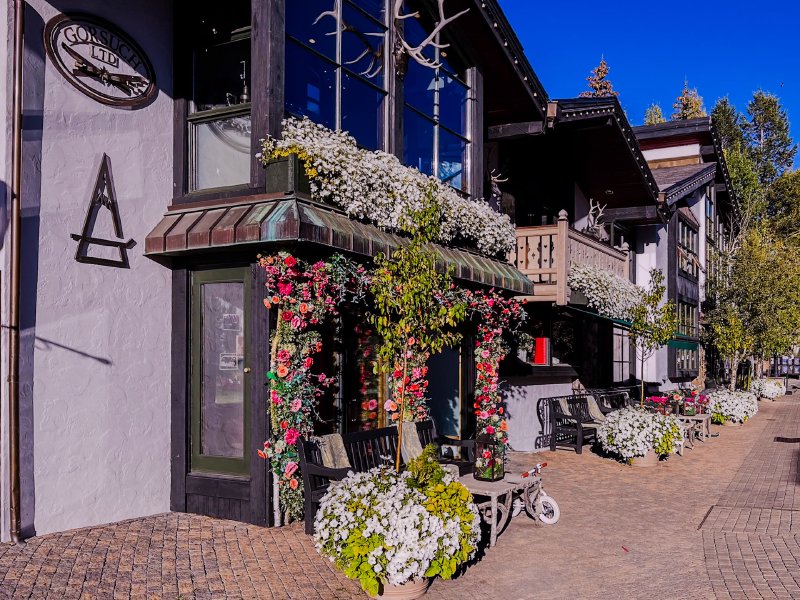 2024 Scribdfest in Vail