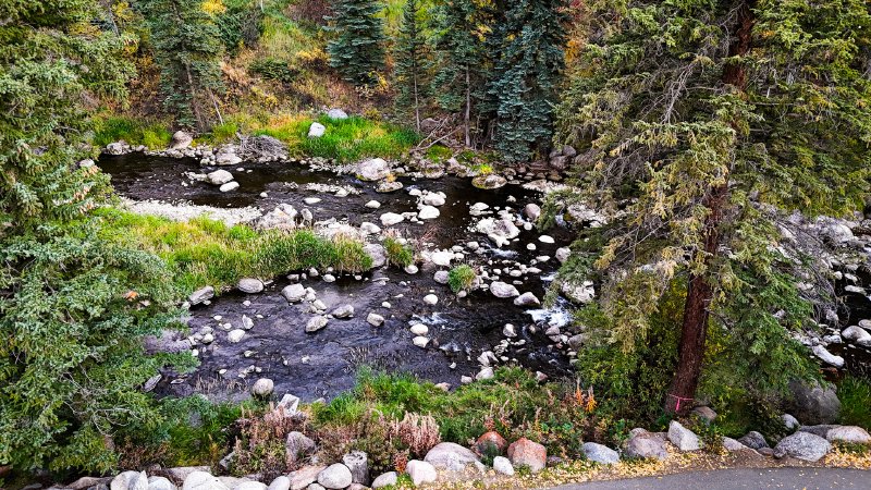 2024 Scribdfest in Vail