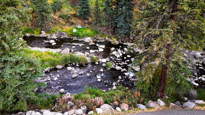 2024 Scribdfest in Vail
