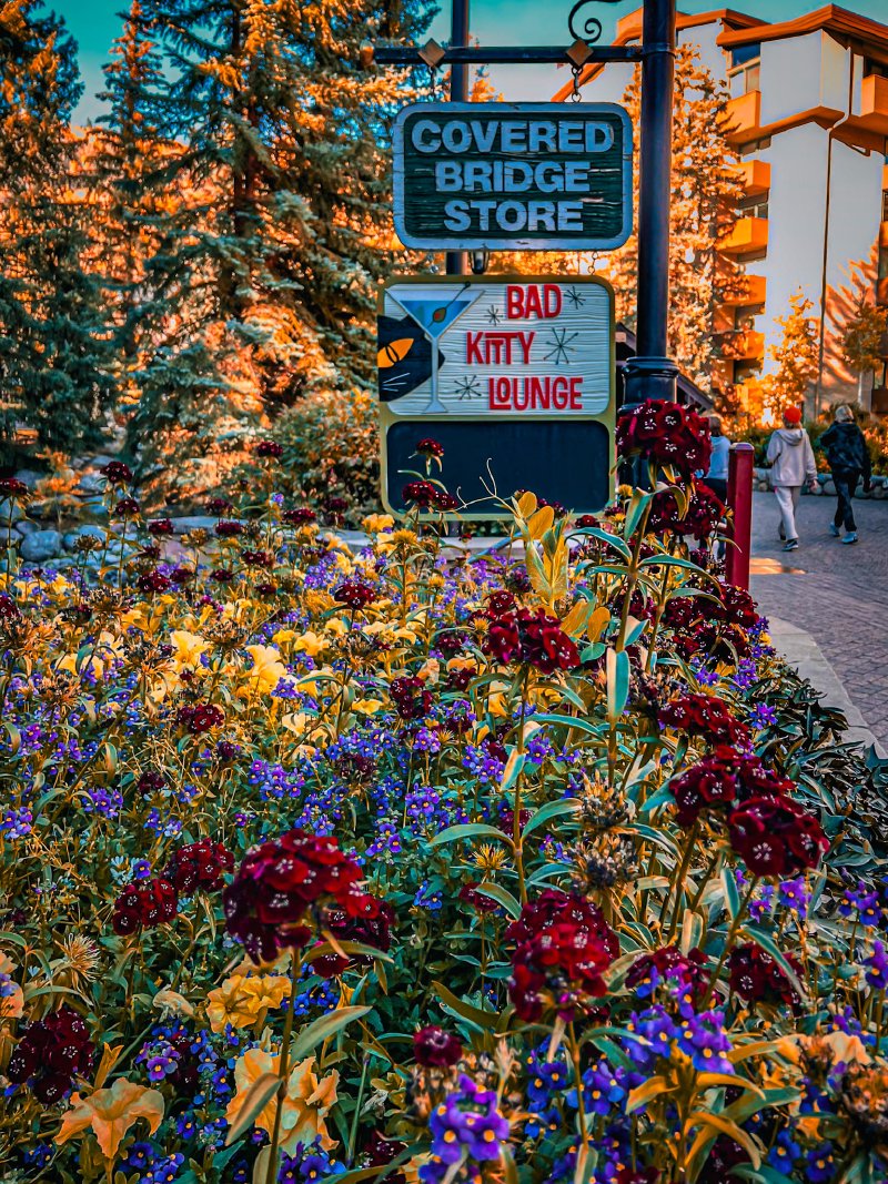 2024 Scribdfest in Vail