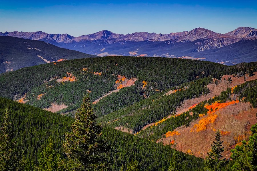 2024 Scribdfest in Vail