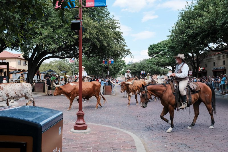 2024 Fort Worth Stockyards