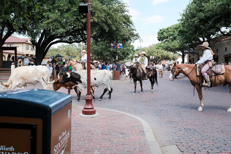 2024 Fort Worth Stockyards