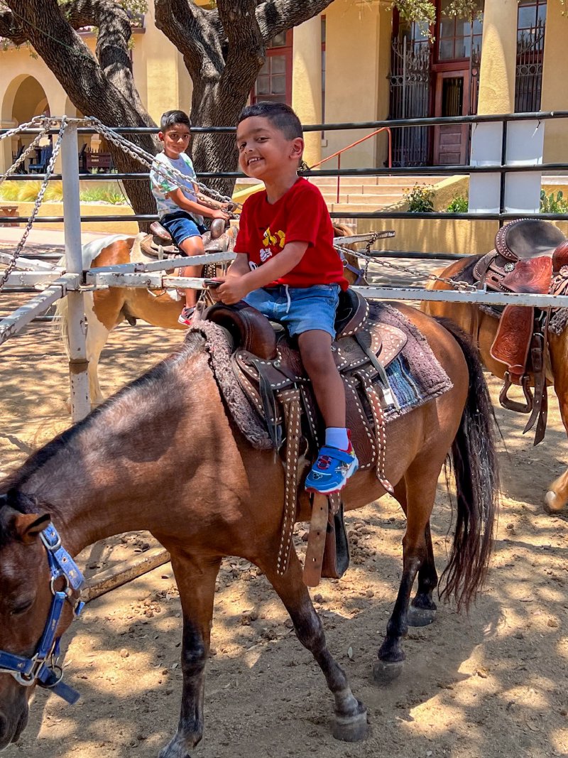 2024 Fort Worth Stockyards