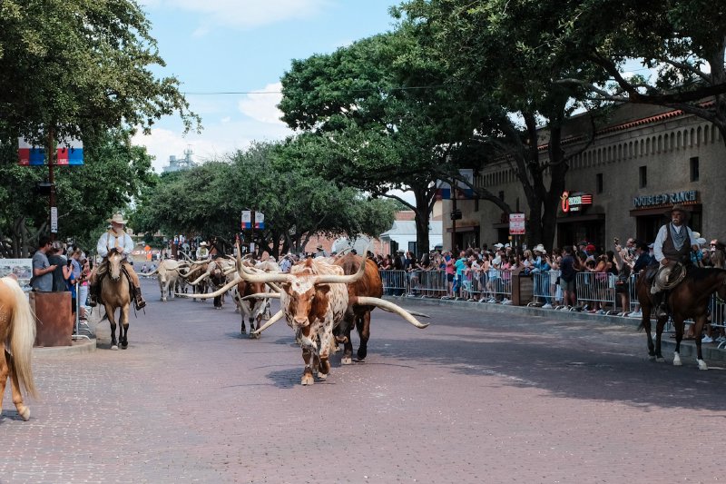 2024 Fort Worth Stockyards