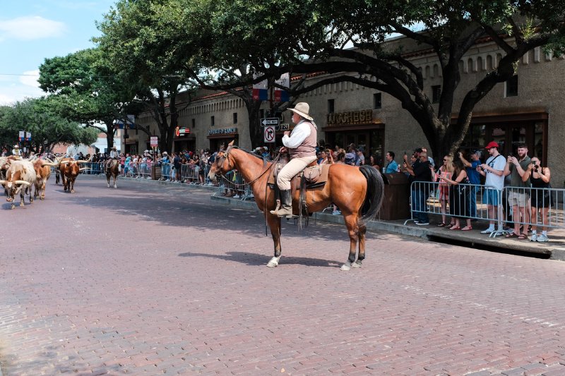 2024 Fort Worth Stockyards