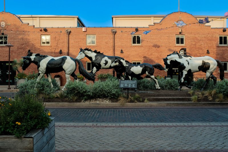 2024 Fort Worth Stockyards