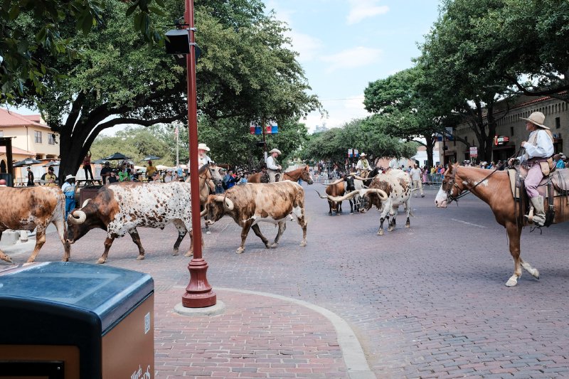 2024 Fort Worth Stockyards
