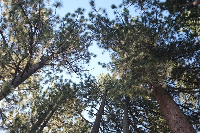 Lake Tahoe Vacation